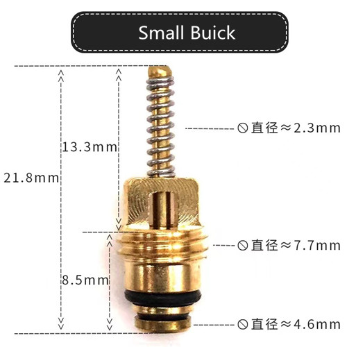 Small Buick.jpg