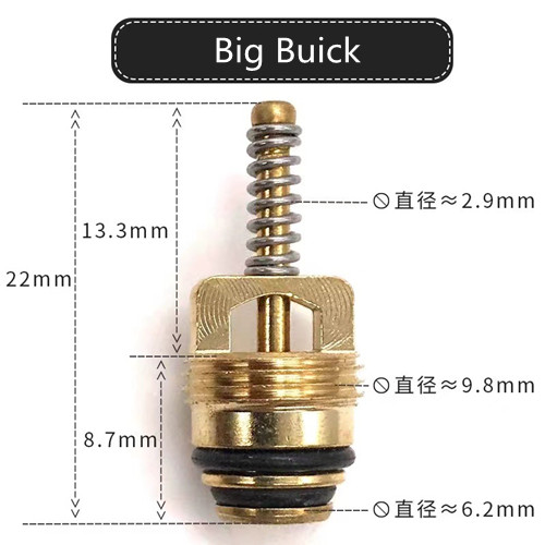 Big Buick.jpg