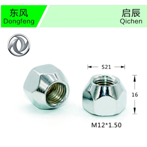 Dongfeng-01