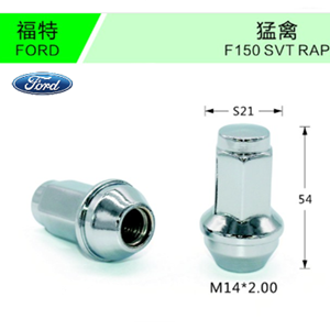 Ford-10
