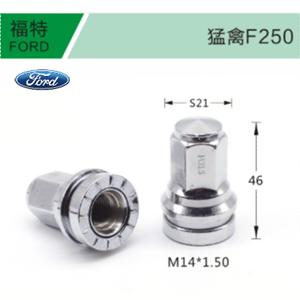 Ford-11