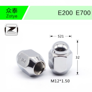 Zotye-01