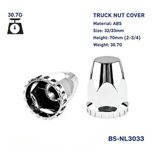 BS-NL3033